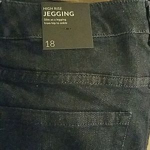 Lane Bryant Jeggings NWT